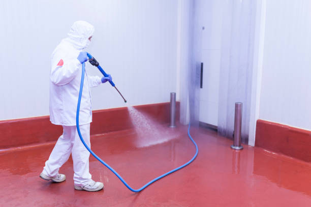 Best Boat and Dock Cleaning  in Fort Meade, MD